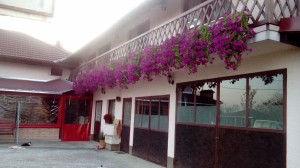 DSC 0216 (1)